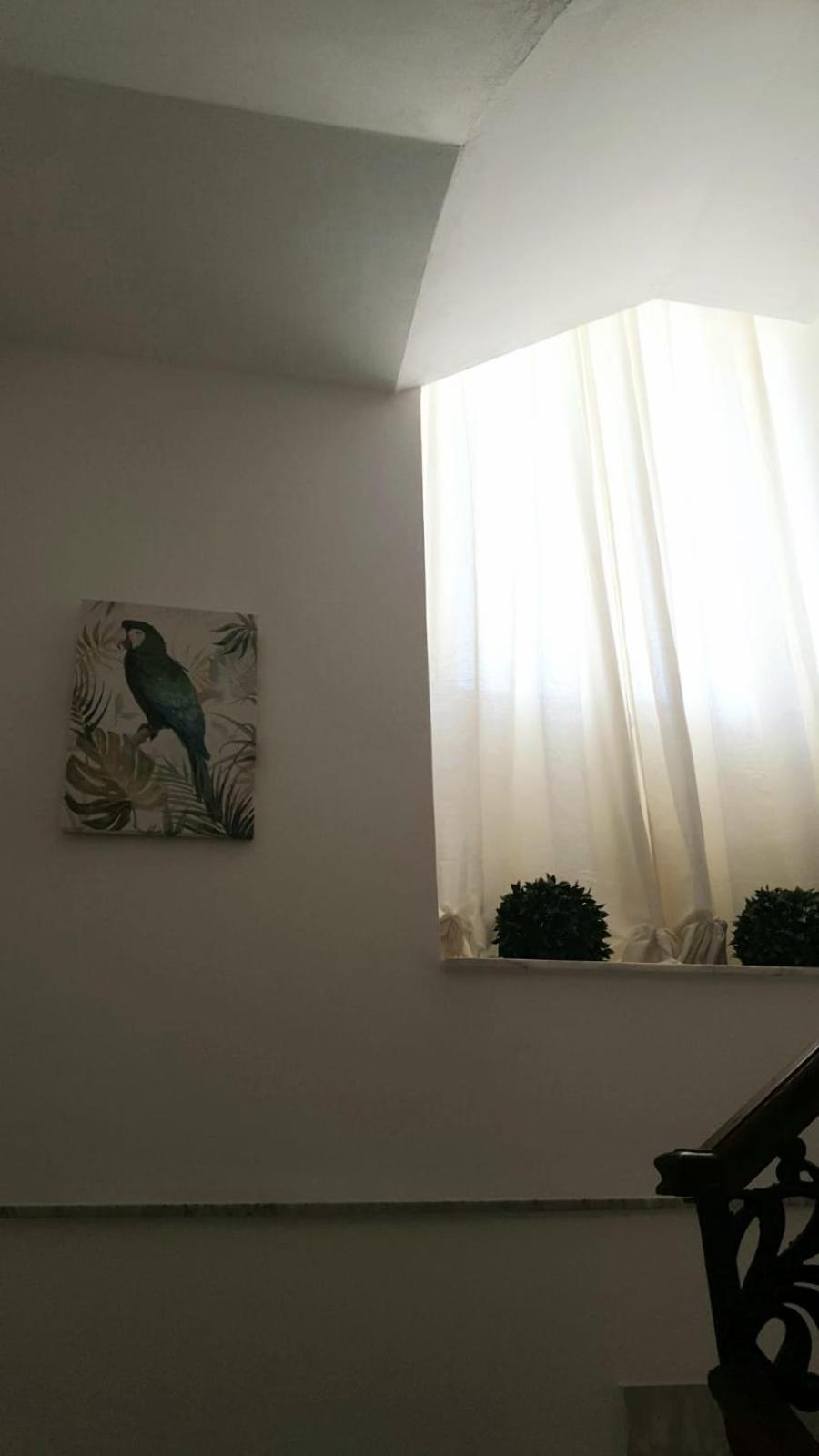 Mia'S Rooms Noto Dış mekan fotoğraf